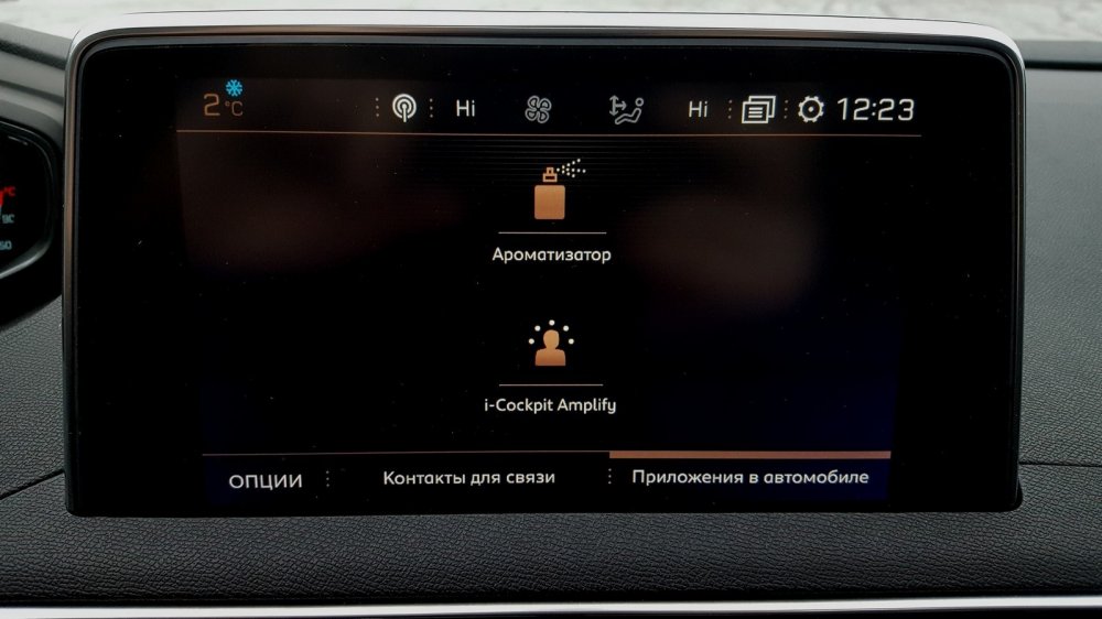 3008 на компе. Цветной дисплей Пежо 3008. Матричный дисплей Пежо 3008. Пежо 3008 Navi с экраном. Инженерное меню Пежо 3008.