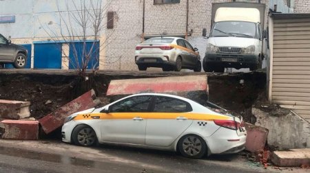 Москвич погиб после падения дерева на автомобиль - «Автоновости»