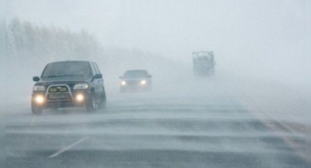 Несколько важных правил, чтобы не разбиться на машине в туман - «Автоновости»