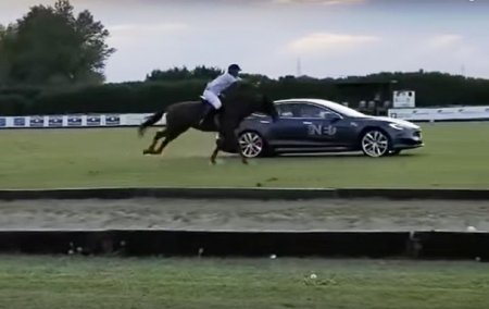 Tesla Model S участвовала в гонке против лошади - «Автоновости»