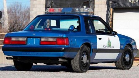 Уникальный полицейский Ford Mustang выставили на аукцион - «Автоновости»