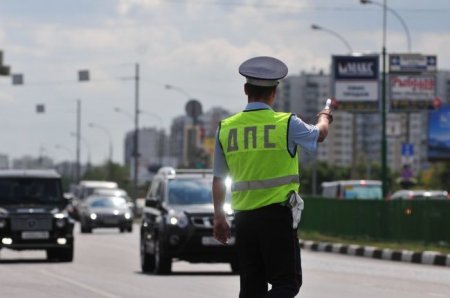 В Сети появилась информация о новом обмане с государственными автомобильными номерами - «Автоновости»