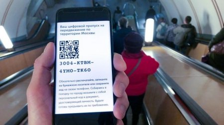 Автомобилистам Москвы объяснили алгоритм получения цифрового пропуска - «Автоновости»