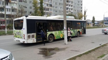 В Волгограде вывели на улицы почти весь общественный транспорт - «Автоновости»