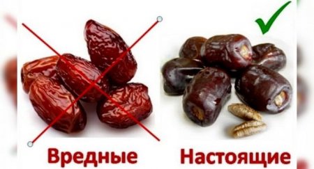 Орехи и сухофрукты – как выбрать? - «Автоновости»
