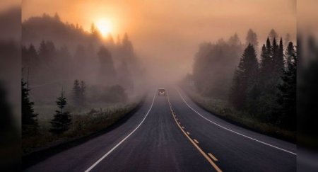 Почему при езде в тумане на автомобиле нельзя включать дальний свет - «Автоновости»