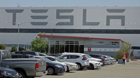 Почему Tesla судилась за открытие завода - «Автоновости»