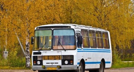 Продажи новых автобусов в России резко сократились - «Автоновости»