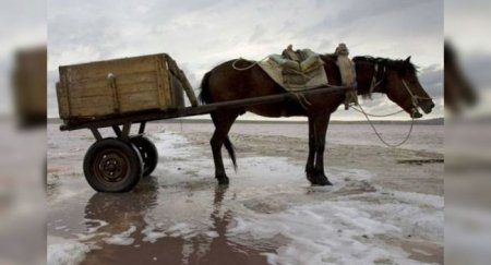 Самые первые в мире официальные ДТП - «Автоновости»