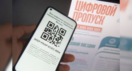 В Москве выявлено более 700 случаев перевозки пассажиров без цифрового пропуска - «Автоновости»
