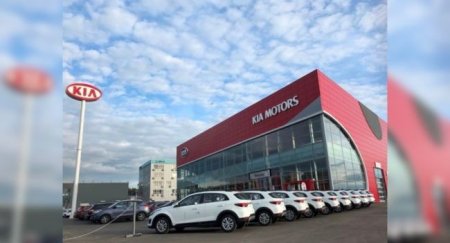 KIA в июне восстанавливает полноценную деятельность в России - «Автоновости»