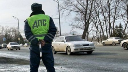 На Урале пьяный пассажир авто укусил сотрудника ГИБДД - «Автоновости»