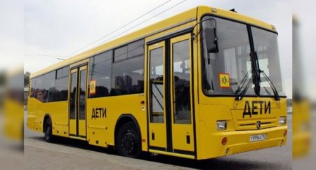 Новые автобусы «НЕФАЗ» будут работать в Екатеринбурге - «Автоновости»