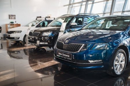 Составлен портрет российского владельца автомобиля Skoda - «Автоновости»