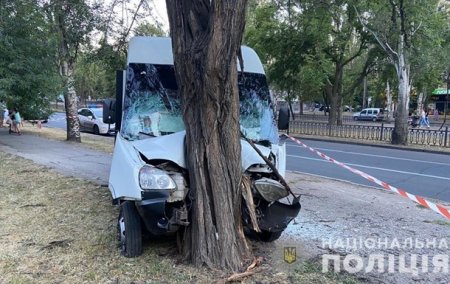 В Николаеве маршрутка влетела в дерево: девять пострадавших - «ДТП»