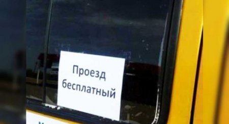 В Подмосковье просят ввести платный въезд из-за москвичей - «Автоновости»