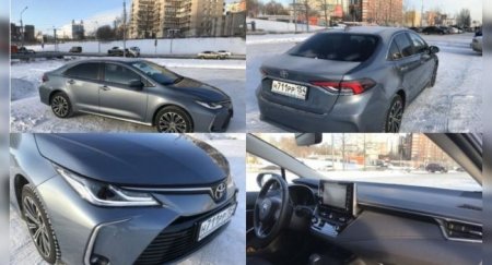 Владелец сравнил Toyota Corolla 2013 и 2019 годов - «Автоновости»