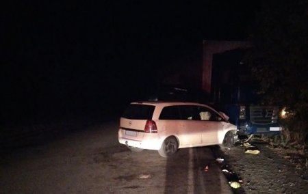 На Николаевщине в ДТП с грузовиком пострадали пять детей - «ДТП»