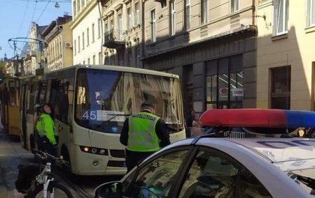 Во Львове девушку экс-главы САП зацепила маршрутка на переходе - «ДТП»