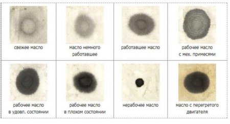 Рабочий способ проверить, в каком состоянии находится моторное масло - «Автоновости»