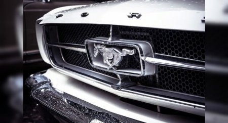 Во Флориде владелец Ford Mustang использовал свой спорткар вместо грузового пикапа - «Автоновости»