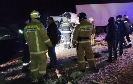 В России при столкновении микроавтобуса и фуры погибли 10 человек - «ДТП»